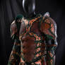 Warrior Rogue Leather Armor