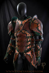 Warrior Rogue Leather Armor