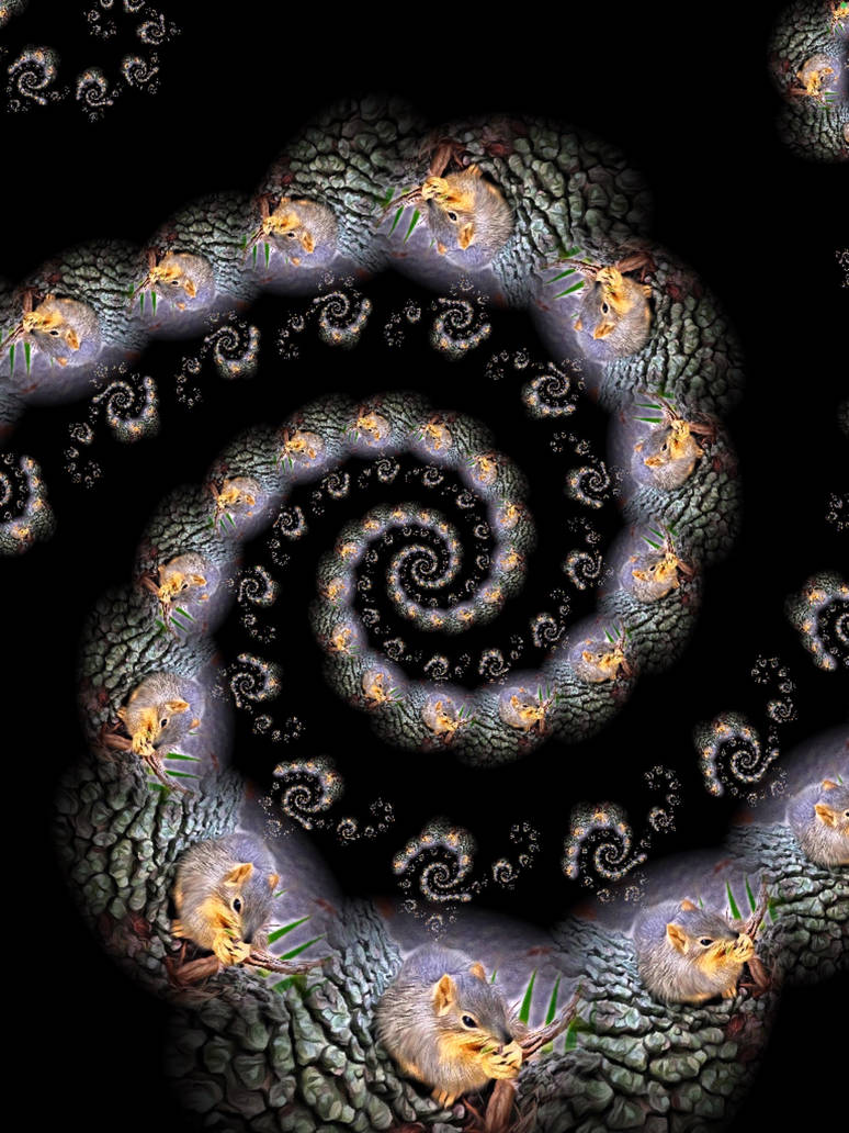 Fragmented Squirrel Abstract Squirrel Fractal by DavidMcMillanJr on DeviantArt