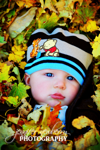 Gregory in the Leaves