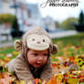 Monkey in the Leaves 2