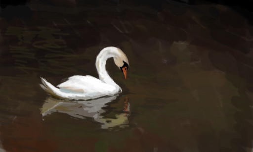 Swan Sketch