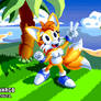 Tailsko in Emerald Hill Zone