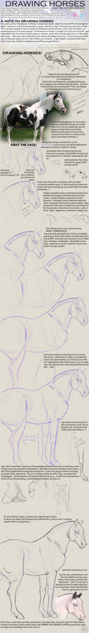 How to Draw Realistic Horses