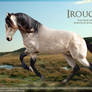 Irouquois