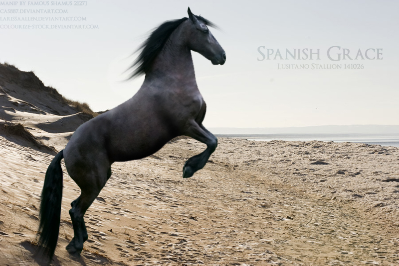 Spanish Grace