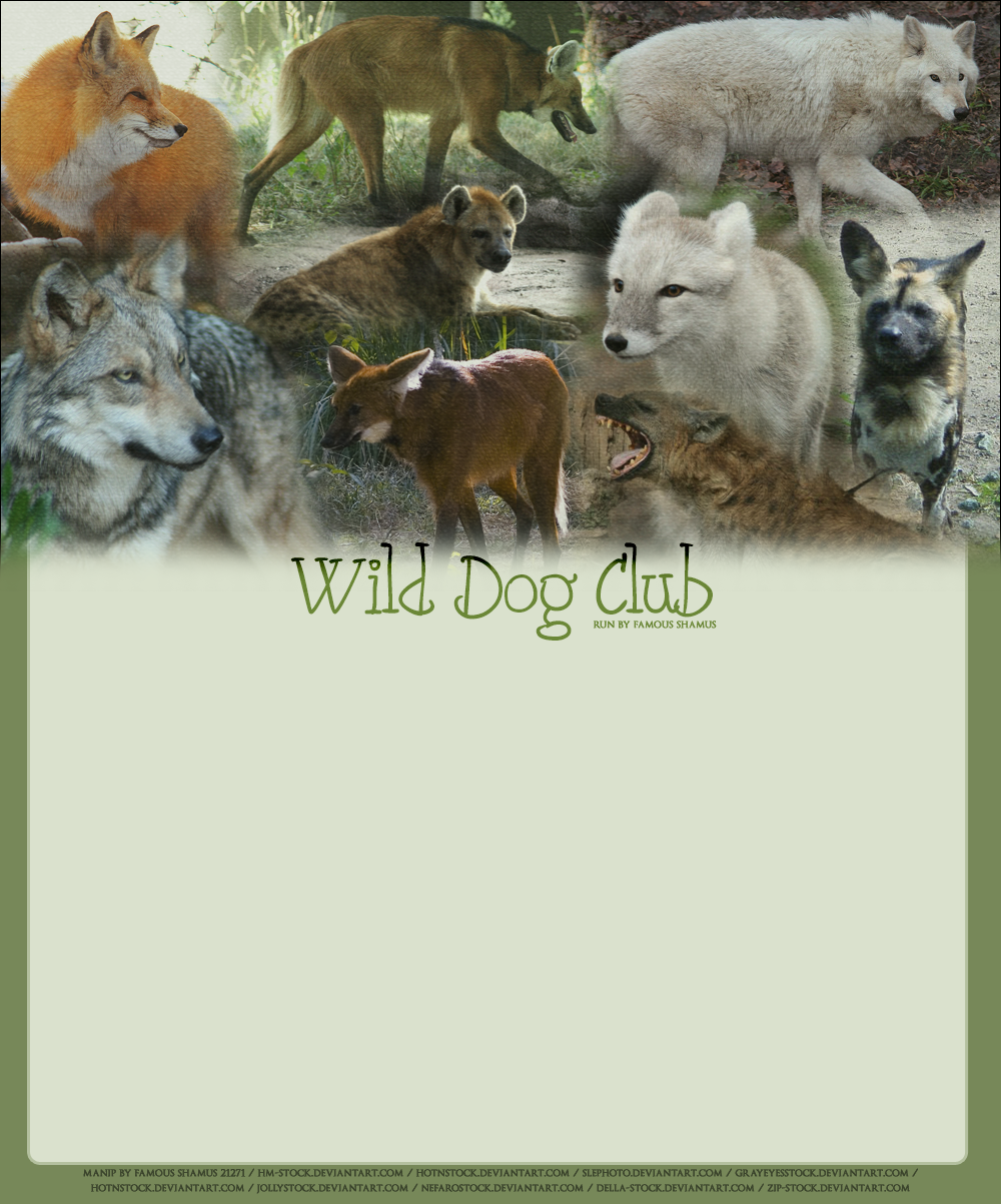 Wild-Dog-Club