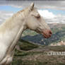 Chevalier