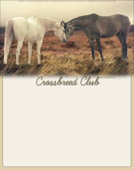 Crossbreed-Club-BV