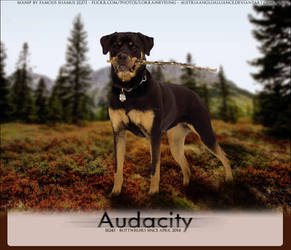 Audacity-Rotties