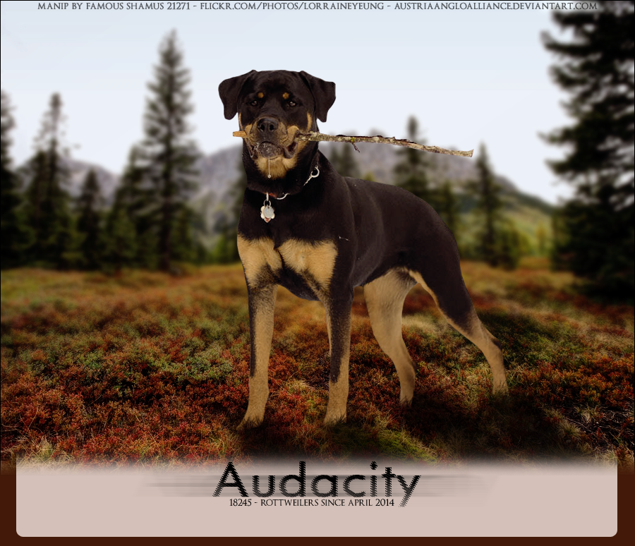 Audacity-Rotties