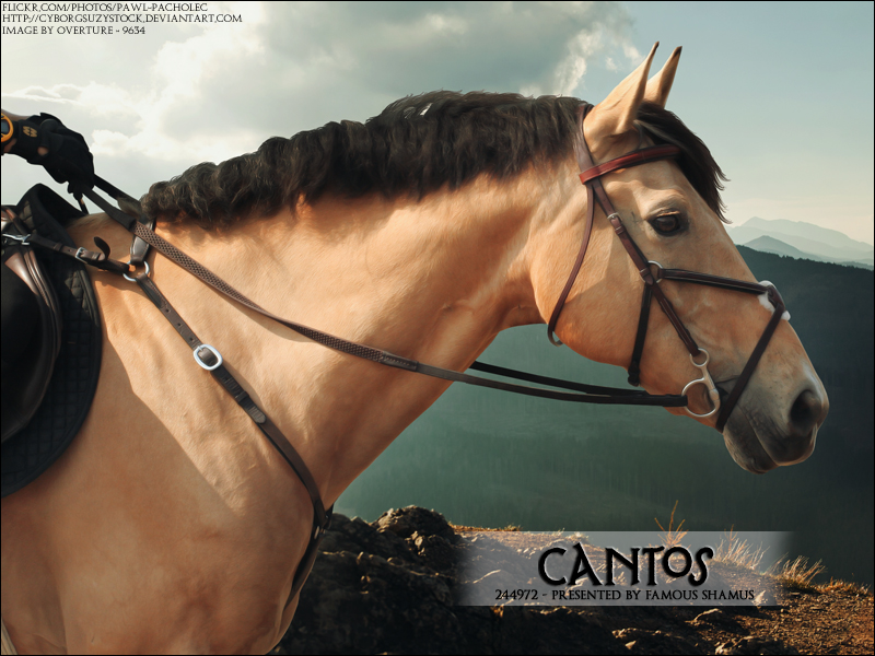 Cantos