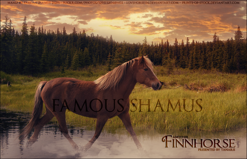 Ttanaris-Finnhorse