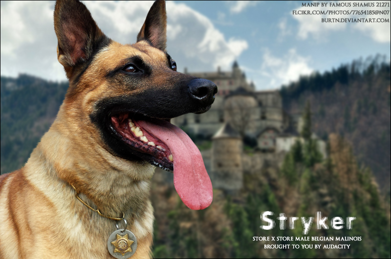 Stryker