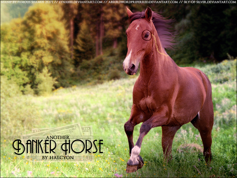 Halcyon Banker Horse