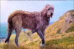 Irish Wolfhound Audacity