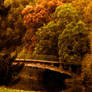Autumn's bridge