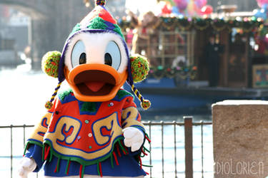 Holiday Donald