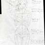 Body Proportions, Female