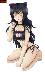 RWBY Blake Cat Lingerie