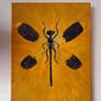 Dragonfly on canvas