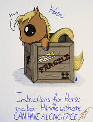 Horse in a Box