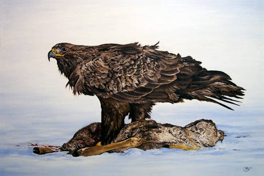 Lord of the Sky - Golden Eagle