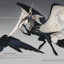 The Blind Seer