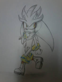 silver the hedgehog