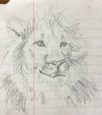 Lion Doodle