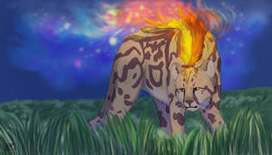 Fire King Cheetah