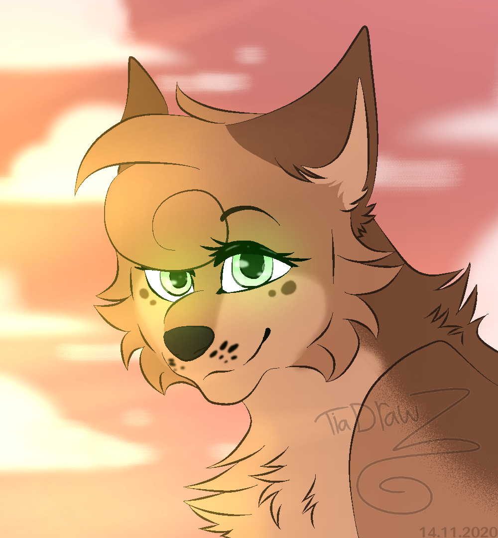 In The Light Of The Sunset| Wolf Oc by TiaDrawZ on DeviantArt