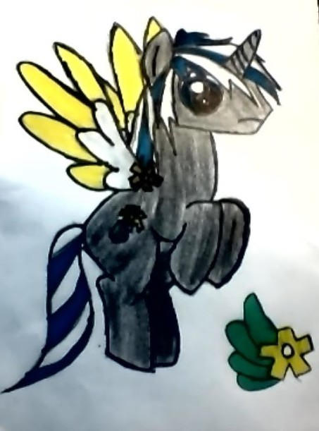 wind rider by AngeltheforgottenRO on DeviantArt