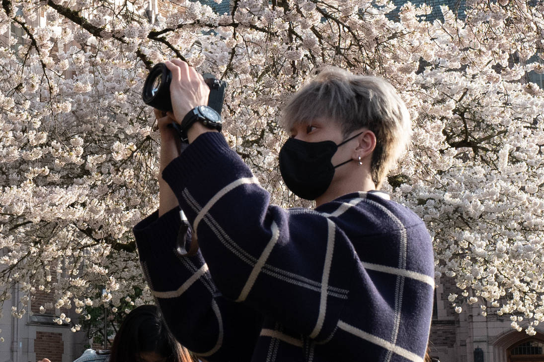 Cherry Blossom Shoot Out-6