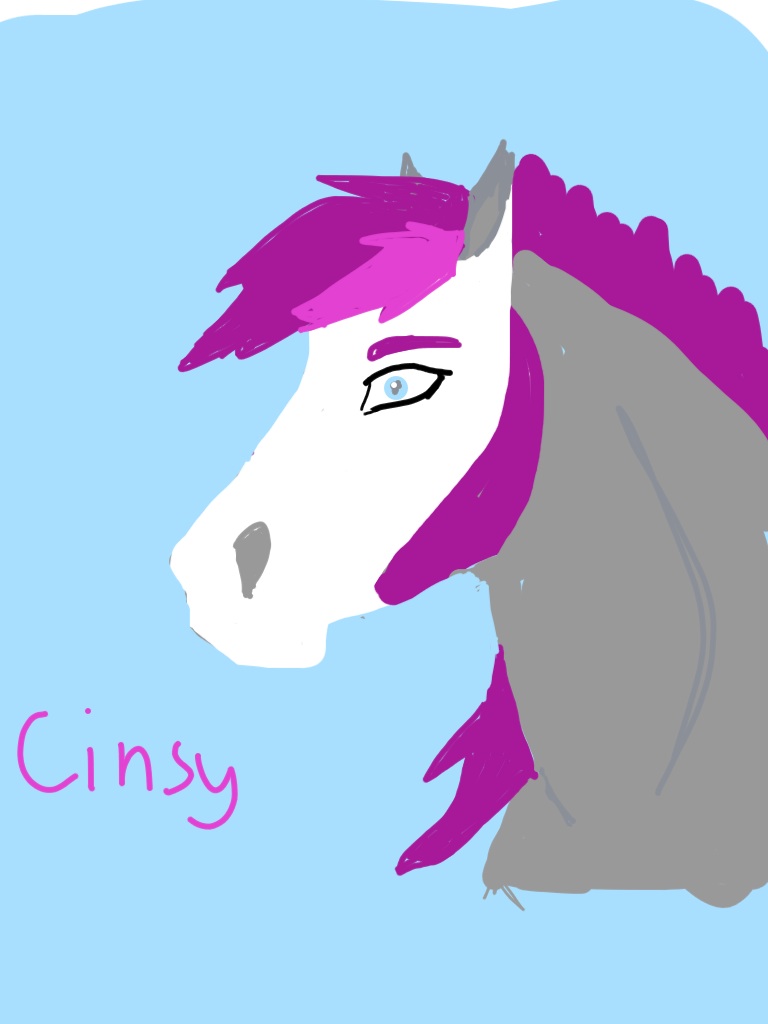 Cinsy