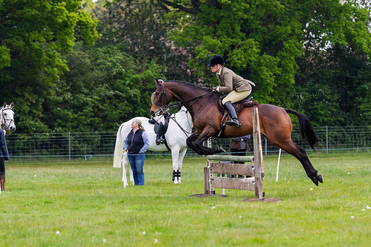 woodbridge_horse_show_2022_1_by_overread_df4r6sh-fullview.jpg