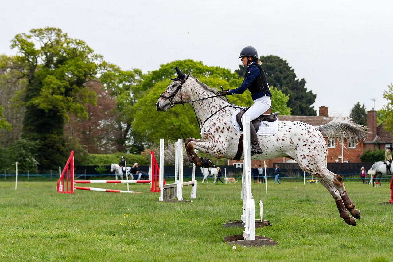 woodbridge_horse_show_2022_10_by_overread_df4r76f-fullview.jpg