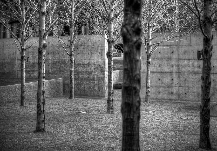 Tree Prison by Expositus on DeviantArt