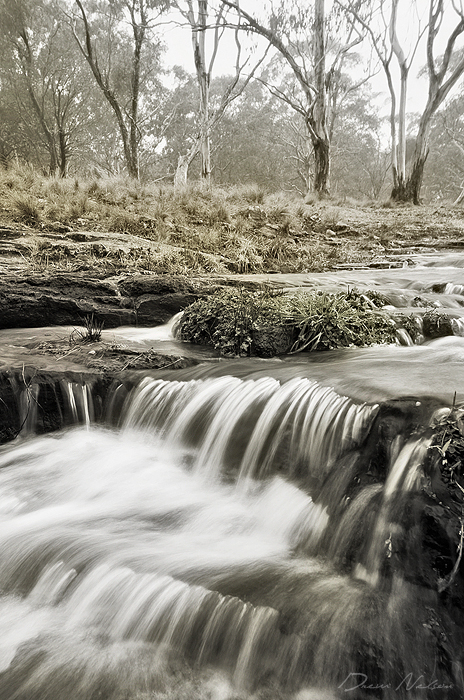 Meldrum Creek