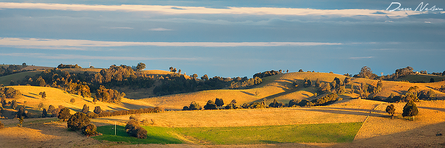 Dorrigo, NSW