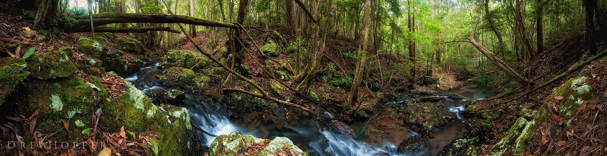 Forest Bend