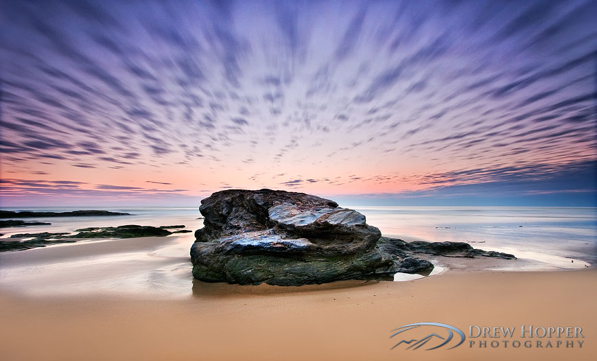 Windswept Coast