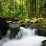 Curtis Falls Cascades