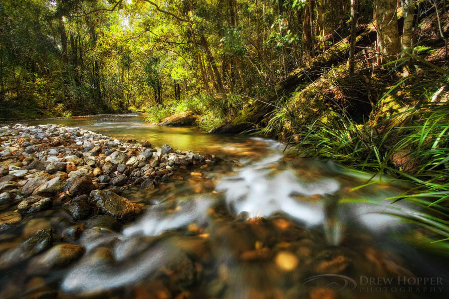 Springtime Magic by DrewHopper on DeviantArt