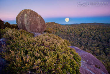 Cathedral Rock Moonset