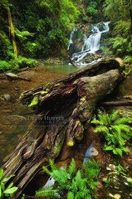 Casuarina Falls