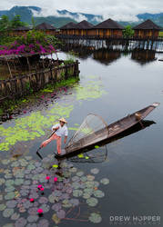 Flower Fisherman