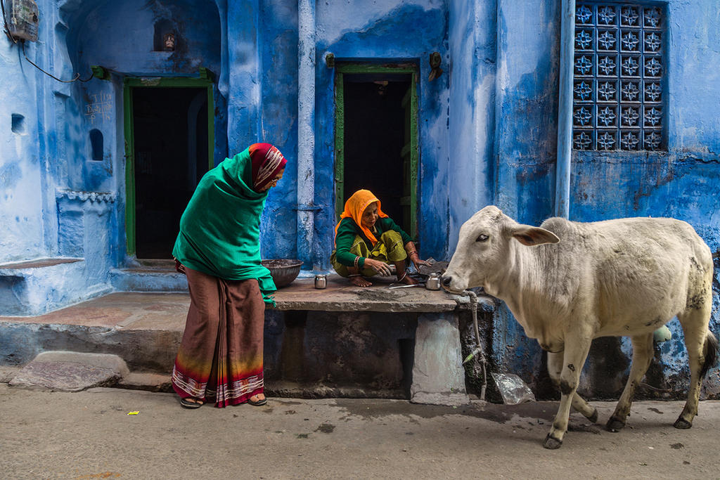 Life in the Blue City by DrewHopper