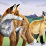 Foxes