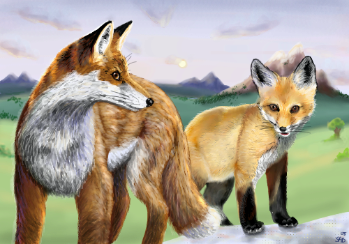 Foxes